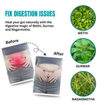Fix Digestion Issues