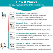 AyurShaastra 90-Day Ayurvedic Weight Loss Detox!