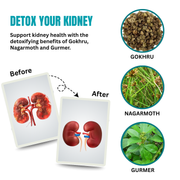 DetoxKidney