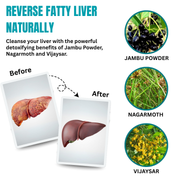 HelpsCleansingLiver-ReverseFattyLiver
