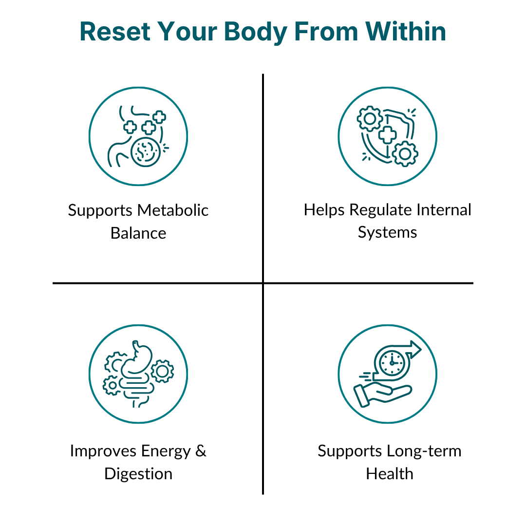 90-Day Full Body Metabolic Reset System